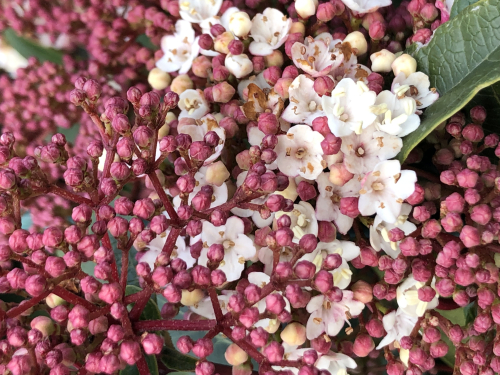 7C7ADEA2-3BF5-44EA-B991-F57E8C02913E 7C7ADEA2-3BF5-44EA-B991-F57E8C02913E