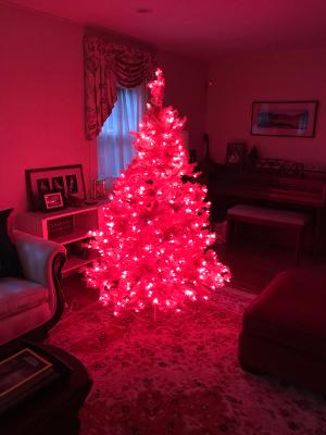 24CC947F-0822-4A4C-A329-145BCF54B7A0