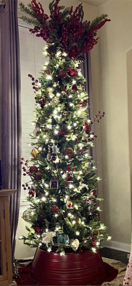 5A3CC135-A87F-4BBC-B261-E1EB91C1D49F 5A3CC135-A87F-4BBC-B261-E1EB91C1D49F