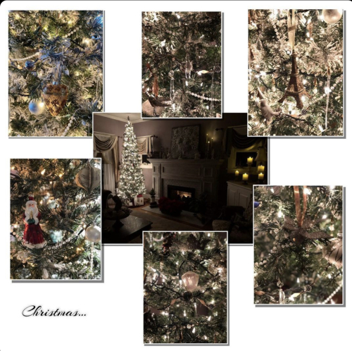 0BCC86FD-8C6D-464E-B3C9-15FBCCA6C2A2 0BCC86FD-8C6D-464E-B3C9-15FBCCA6C2A2