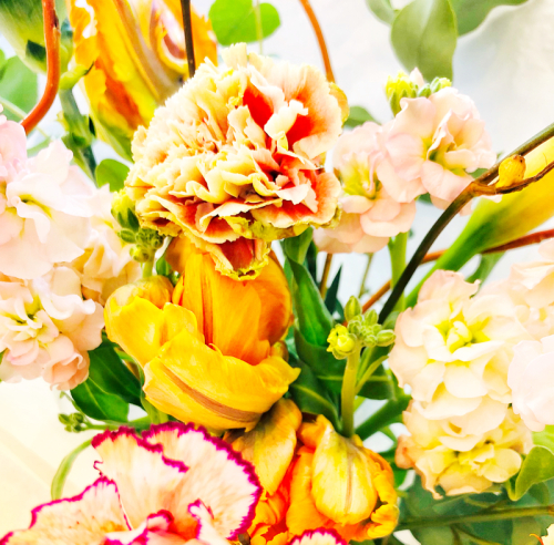 A Flower a Day Corey AMARO A Flower a Day Corey AMARO