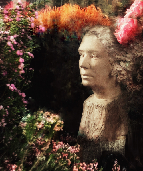 A Flower a Day Corey AMARO A Flower a Day Corey AMARO