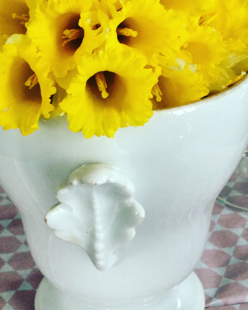 A Flower a Day Corey AMARO A Flower a Day Corey AMARO