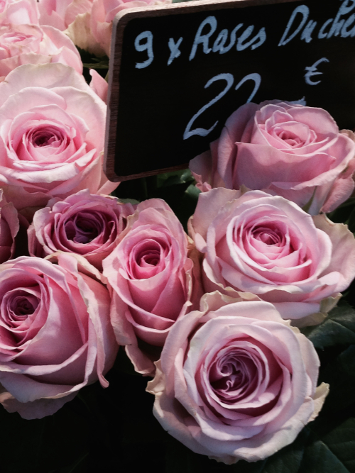 A Flower a Day Corey AMARO A Flower a Day Corey AMARO