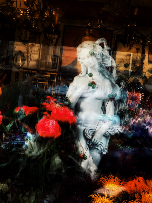 A Flower a Day Corey AMARO A Flower a Day Corey AMARO