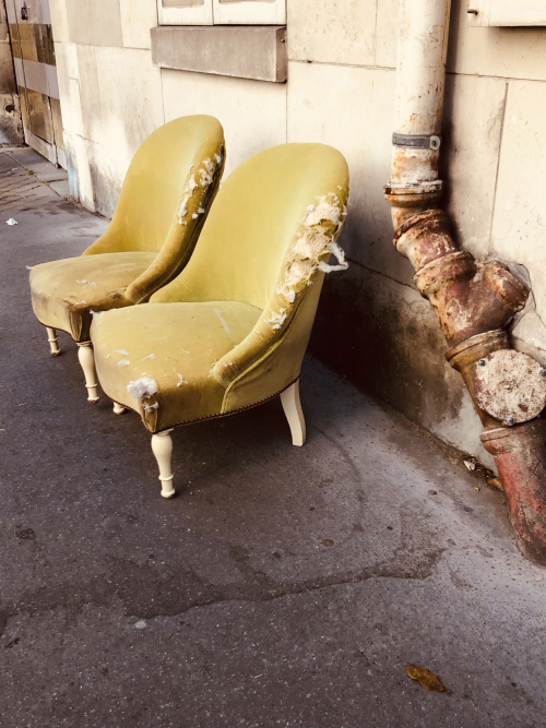 Look What the Neighbors are Throwing Out Look What the Neighbors are Throwing Out