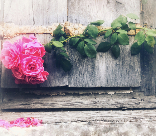 40FEB52C-FA04-4266-8C34-90B9D37BD4F5