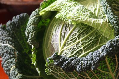 Babies-born-in-cabbages Babies-born-in-cabbages