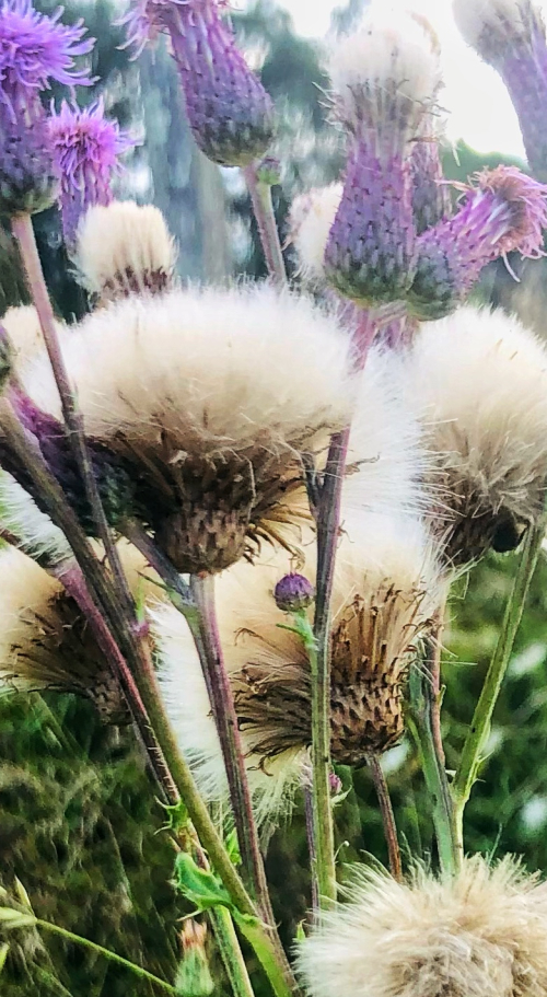 DCB1FD17-4B5F-4638-BE18-2809A9F1B655 DCB1FD17-4B5F-4638-BE18-2809A9F1B655