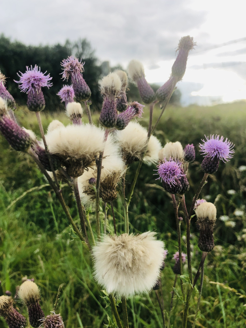 6C7D93BD-9DF9-4F69-B1A7-8F69CF2427A0 6C7D93BD-9DF9-4F69-B1A7-8F69CF2427A0