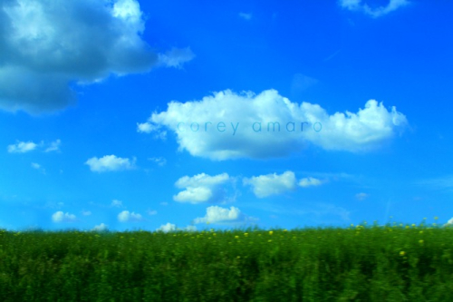 The grass grows greener