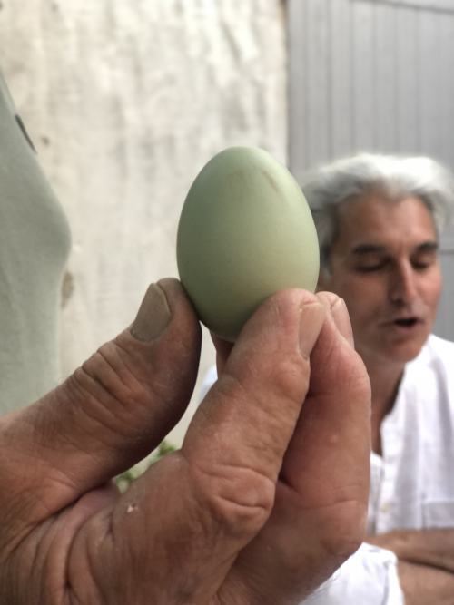 Dinner in Provence Dinner in Provence