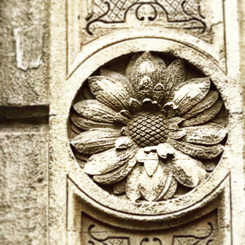 corey amaro French la vie corey amaro French la vie