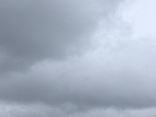 Gratitude Above All, corey amaro, French la Vie Gratitude Above All, corey amaro, French la Vie