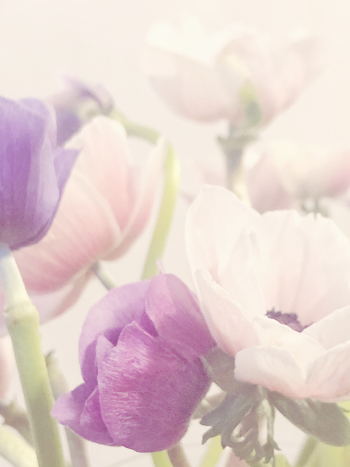 live it well its a wonderful life corey amaro