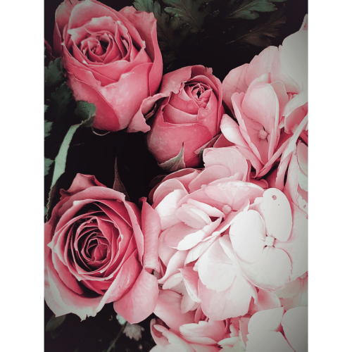 flowers for healing flowers for healing