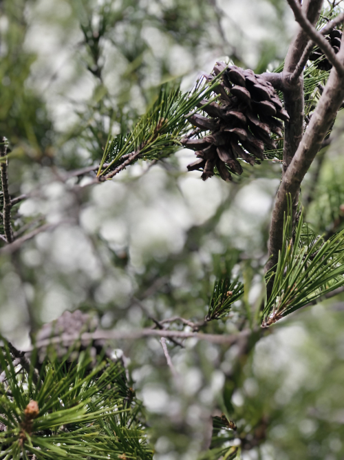 sunday in Cassis promenade sunday in Cassis promenade