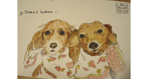 2C73389D-2065-45CF-A2CE-03ABEEEBE524 2C73389D-2065-45CF-A2CE-03ABEEEBE524