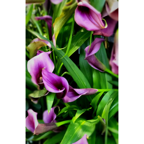 667163C8-ABDB-4EDE-B005-641A1CBD1C59