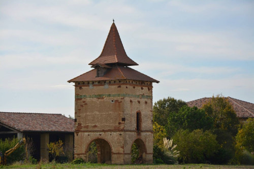 Frank Burgundy Frank Burgundy