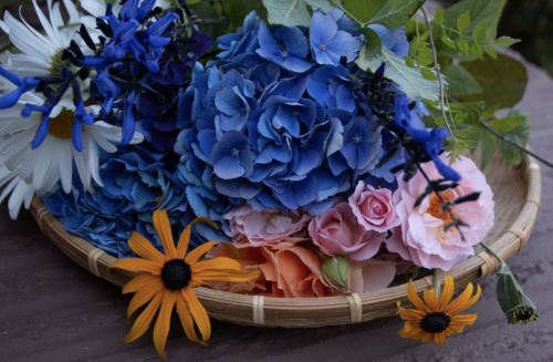 39D304BA-C75C-4D69-BC66-9A60D2471777 39D304BA-C75C-4D69-BC66-9A60D2471777