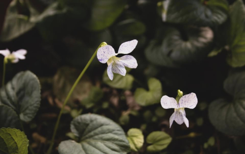 42697C89-58B2-4340-B0F4-2667B8670F5E 42697C89-58B2-4340-B0F4-2667B8670F5E