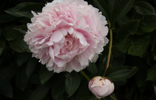 4B10AF11-0227-4648-B8E9-2C41E741BA1E 4B10AF11-0227-4648-B8E9-2C41E741BA1E