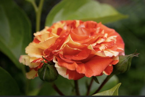 4D0DC85A-439B-402B-867A-1CC1F492E5E3 4D0DC85A-439B-402B-867A-1CC1F492E5E3