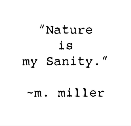 56708E46-C6B7-48A4-9C33-EF185F2B5CF8 56708E46-C6B7-48A4-9C33-EF185F2B5CF8