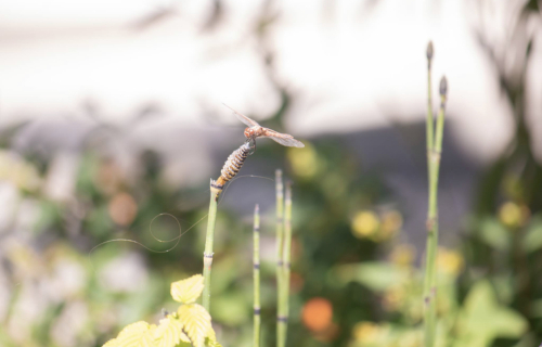 6F0D8349-F452-4E02-ACF4-07DB27507082 6F0D8349-F452-4E02-ACF4-07DB27507082