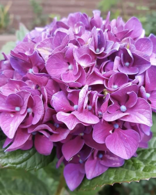 B63A8D30-E166-46AC-A85B-66EC32E39D6F B63A8D30-E166-46AC-A85B-66EC32E39D6F