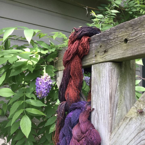 BDAE046B-351E-4E56-8731-912A2AF13020 BDAE046B-351E-4E56-8731-912A2AF13020