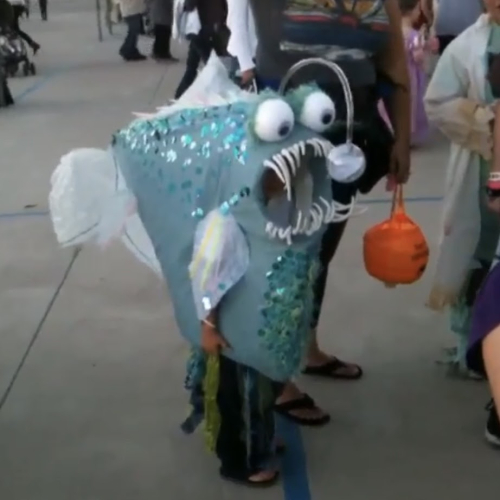 penni Loves 1A2F5293-4430-4616-A3AE-6D37CDC137CD