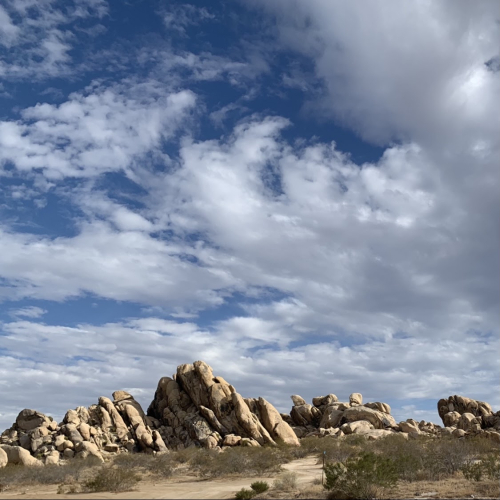 penni Loves penni Loves