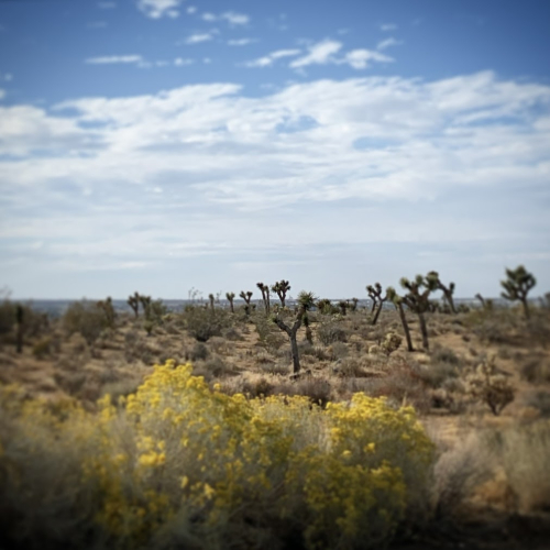 penni Loves penni Loves