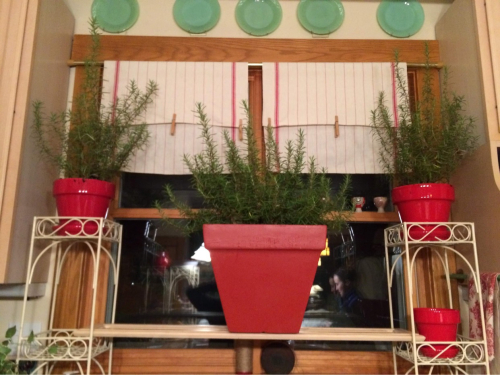 94459D60-EFD4-4DD1-A919-F5E2332EA3DC 94459D60-EFD4-4DD1-A919-F5E2332EA3DC