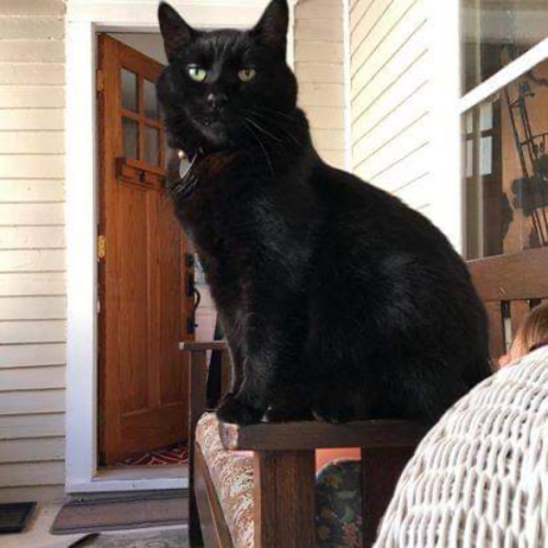 9D335F86-67EB-4A59-808B-4F18218E1EC0 9D335F86-67EB-4A59-808B-4F18218E1EC0