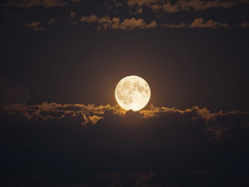 Sacha Rolland Benis Photography Number 2 Sacha Rolland Benis Photography Number 2