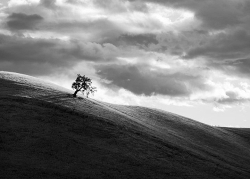 Sacha Rolland Benis Photography Number 2 Sacha Rolland Benis Photography Number 2