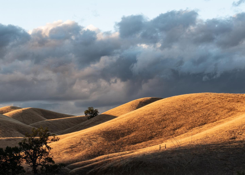 Photo Sale 11 Rolling Hills 2020 Photo Sale 11 Rolling Hills 2020