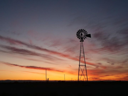 Photo sale fundraiser 6. Windmill Sacha Rolland Benis Photo sale fundraiser 6. Windmill Sacha Rolland Benis