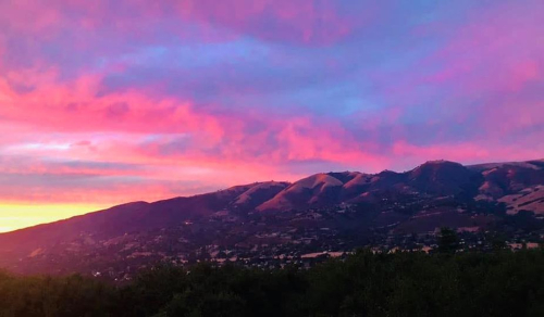 Wendy and her husband