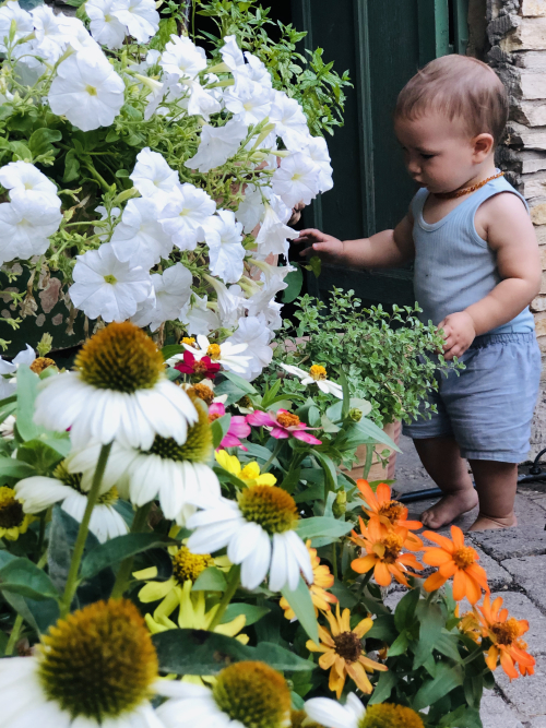 2FD0A5F9-0985-4B6D-AB40-872BAB2DE976 2FD0A5F9-0985-4B6D-AB40-872BAB2DE976