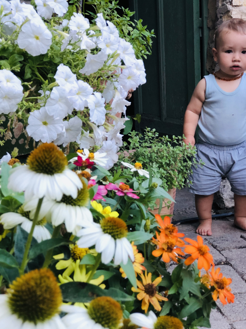 DEAC846B-C150-4238-BC38-C7C036BF8418 E49F972D-60F8-42E5-AC85-6CAA2CEFD54B