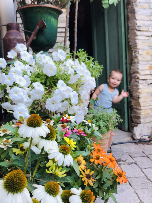 20172EEB-9AEC-4D27-ACA1-92DEB2D20500 20172EEB-9AEC-4D27-ACA1-92DEB2D20500