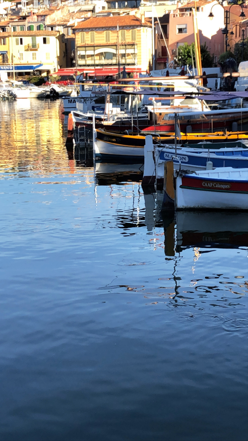 658ADFEB-46ED-4AD2-8EDE-BF29DD882D0D