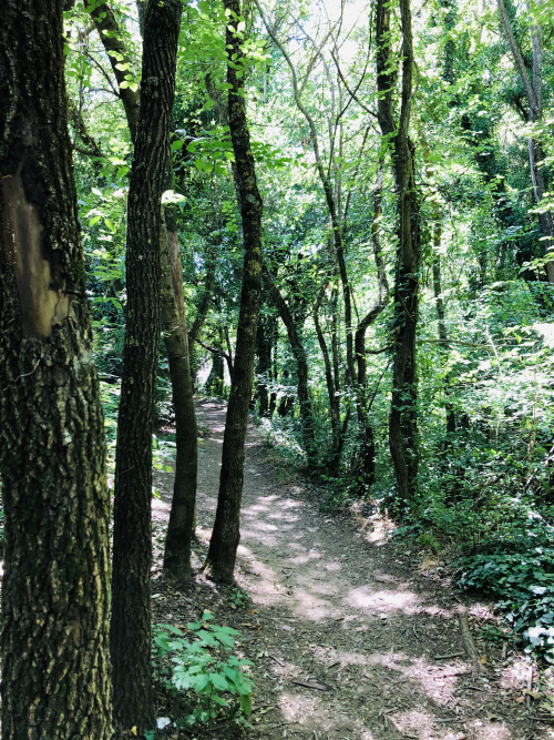 walking trail walking trail