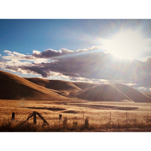 nature's glory nature's glory