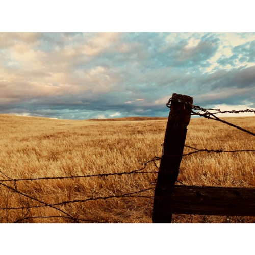 peace and harmony in nature peace and harmony in nature