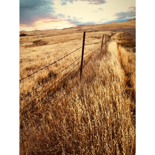 nothing can hold us back nothing can hold us back